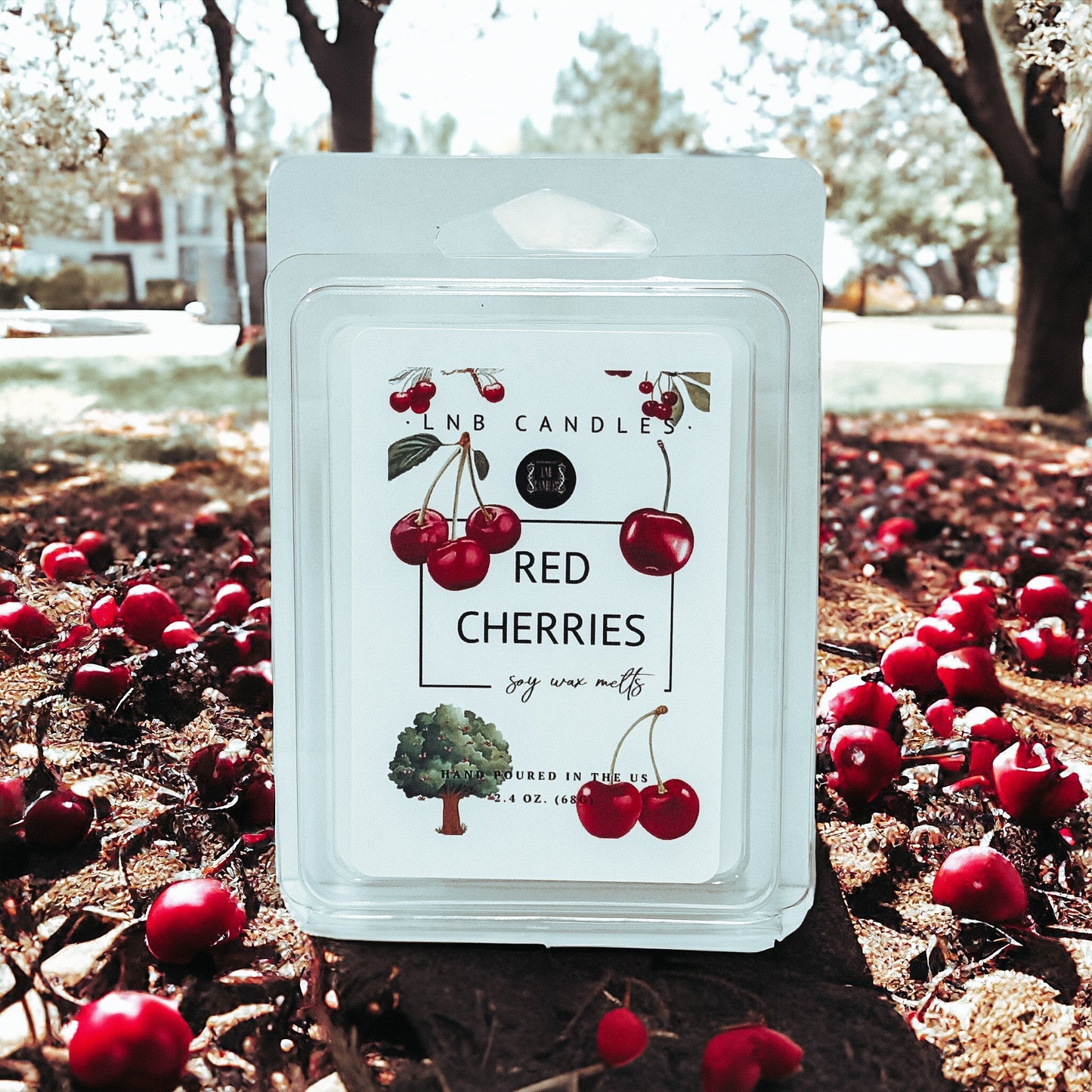 Cherry Cherries Scent Wax Melt