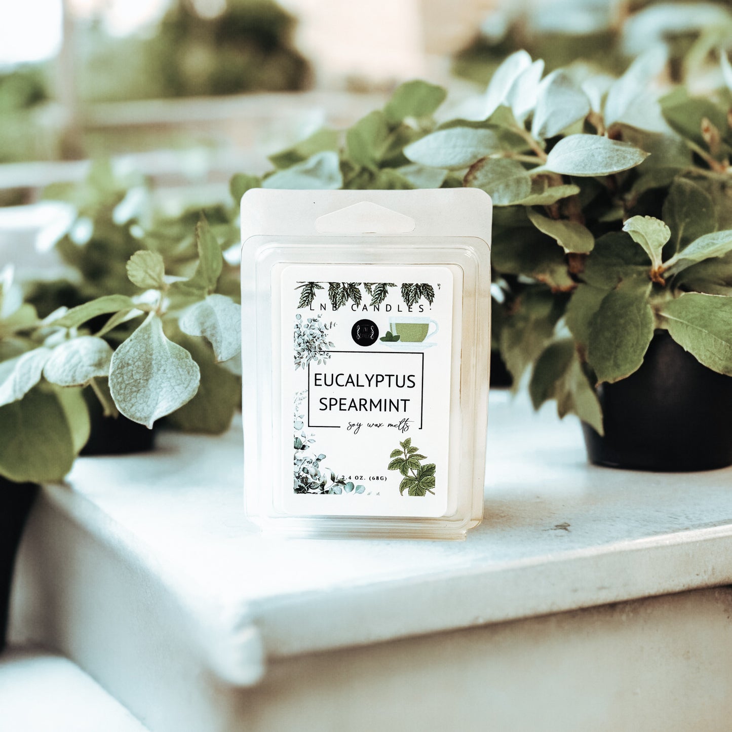 Eucalyptus Spearmint Scent Wax Melt